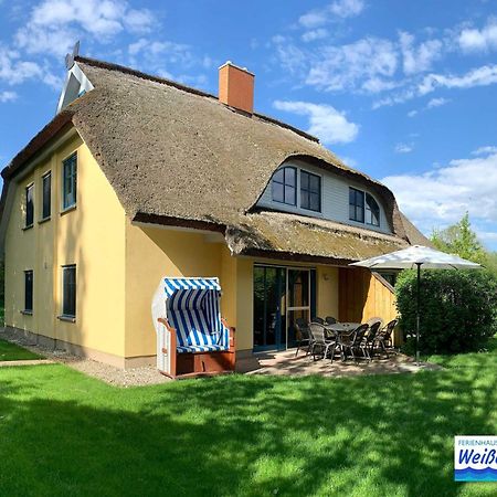 Puddemin Familienfreundliches Reetdachhaus Weissdorn 2ヴィラ エクステリア 写真